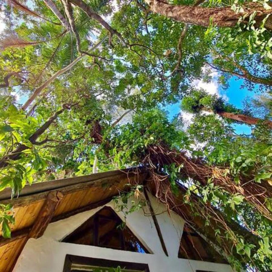 Chale Aloha Villa Florianópolis Dış mekan fotoğraf